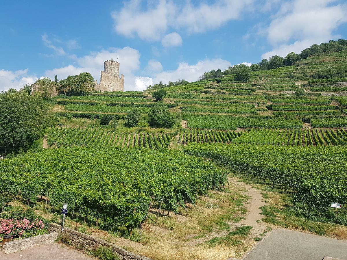 Kaysersberg City Center - Cote Vignoble - エクステリア 写真